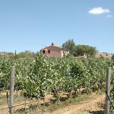 Agriturismo Pian Dei Pini Montiano  Eksteriør bilde