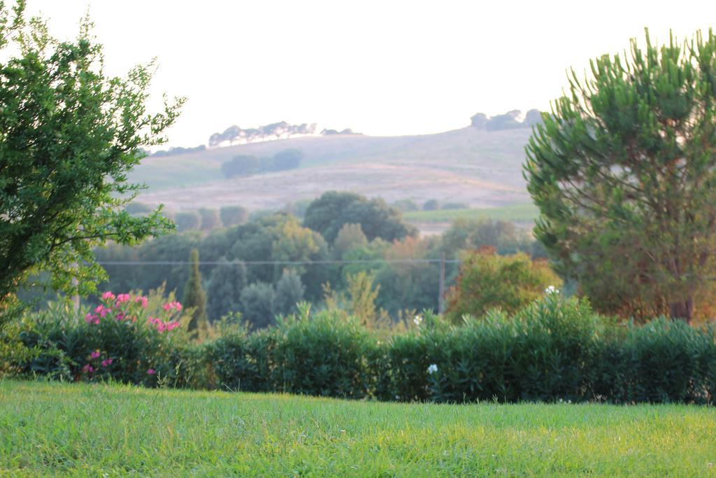 Agriturismo Pian Dei Pini Montiano  Eksteriør bilde