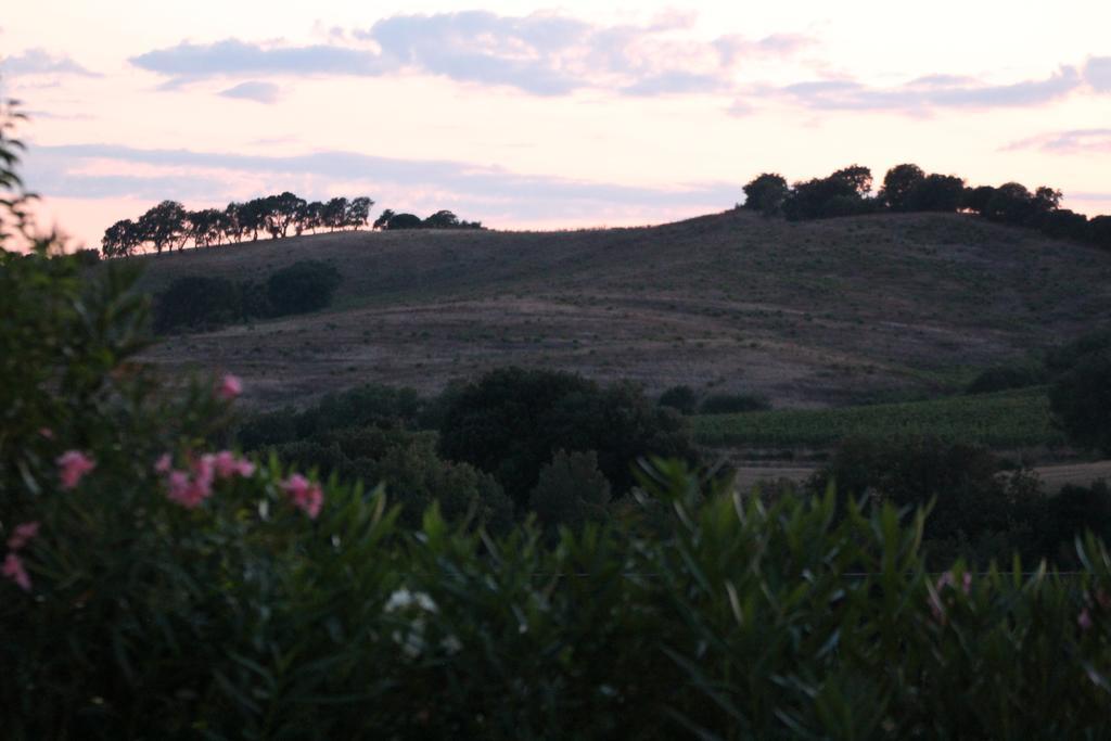 Agriturismo Pian Dei Pini Montiano  Eksteriør bilde