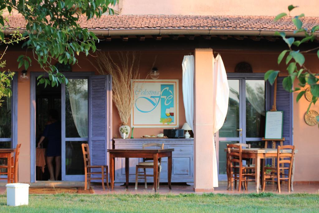 Agriturismo Pian Dei Pini Montiano  Eksteriør bilde